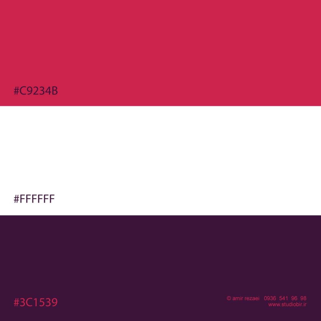 طراحی لوگو وبسایت مهاجرت کوچ یار طراحی لوگو وبسایت مهاجرت کوچ یار